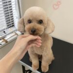 Thumbnail of post image 035