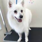 Thumbnail of post image 066