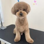 Thumbnail of post image 037