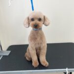 Thumbnail of post image 169