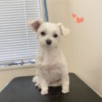 Thumbnail of post image 069