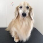 Thumbnail of post image 085