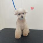 Thumbnail of post image 079