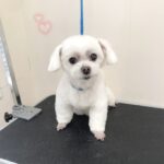 Thumbnail of post image 030