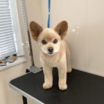 Thumbnail of post image 172