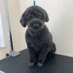 Thumbnail of post image 025