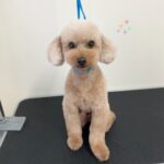 Thumbnail of post image 178