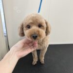 Thumbnail of post image 186