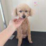 Thumbnail of post image 171