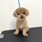 Thumbnail of post image 053