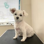 Thumbnail of post image 033