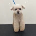 Thumbnail of post image 190