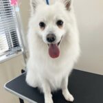 Thumbnail of post image 197