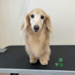 Thumbnail of post image 155