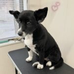 Thumbnail of post image 170