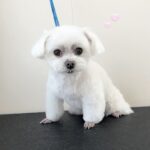 Thumbnail of post image 063