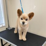 Thumbnail of post image 114