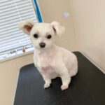 Thumbnail of post image 010