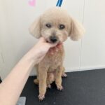 Thumbnail of post image 200