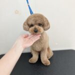 Thumbnail of post image 061