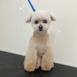 Thumbnail of post image 015