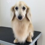 Thumbnail of post image 060