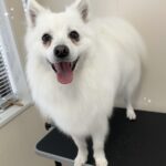 Thumbnail of post image 017