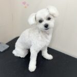 Thumbnail of post image 038