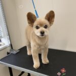 Thumbnail of post image 188