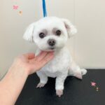 Thumbnail of post image 029