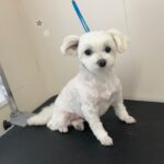 Thumbnail of post image 088