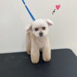 Thumbnail of post image 041