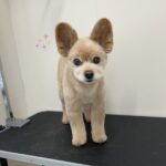 Thumbnail of post image 002
