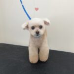 Thumbnail of post image 054