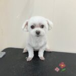 Thumbnail of post image 145