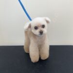 Thumbnail of post image 128