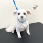 Thumbnail of post image 039