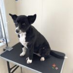Thumbnail of post image 051