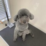 Thumbnail of post image 036