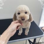 Thumbnail of post image 112