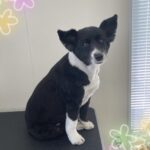Thumbnail of post image 124