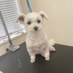 Thumbnail of post image 034