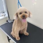 Thumbnail of post image 005