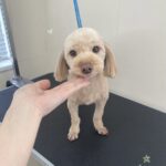 Thumbnail of post image 064