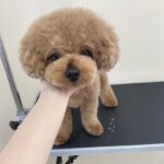 Thumbnail of post image 007