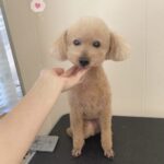 Thumbnail of post image 003