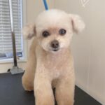 Thumbnail of post image 103