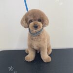 Thumbnail of post image 012