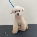 Thumbnail of post image 041