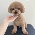 Thumbnail of post image 048